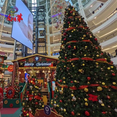 Коледни елхи на гигантска кула